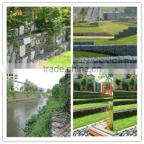 animal protection hexagonal mesh ,mesh fence used in animal breed /gabion of reasonable price (manufacturer ISO9001)
