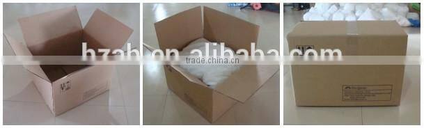 Events Promotion Sky Dancer