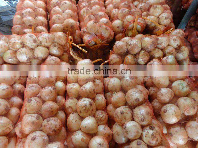 Fresh Yellow Onion / Red Onion