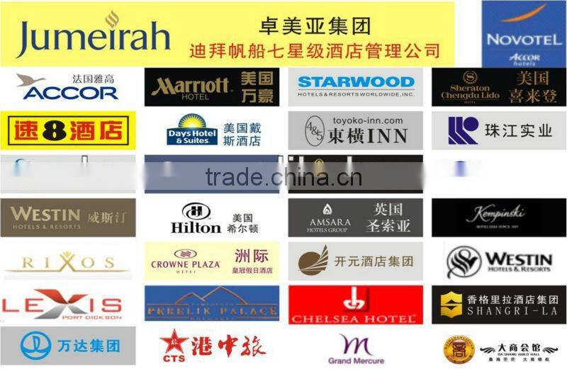 electronic residential sliding card lock