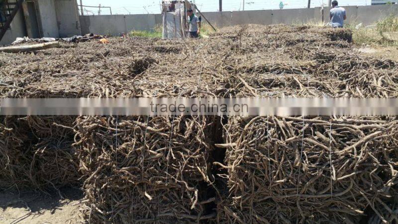 Licorice Root Exporters from India