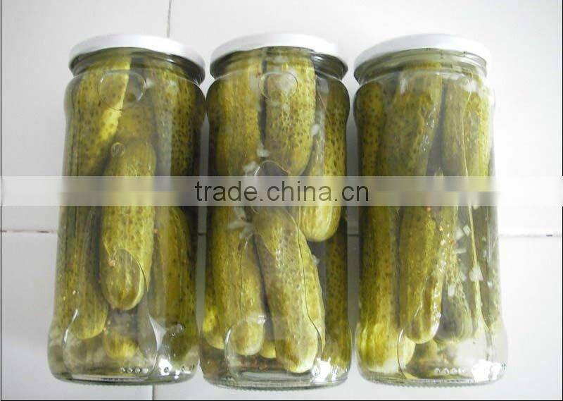 China High quality Canned Pickled Cucumber