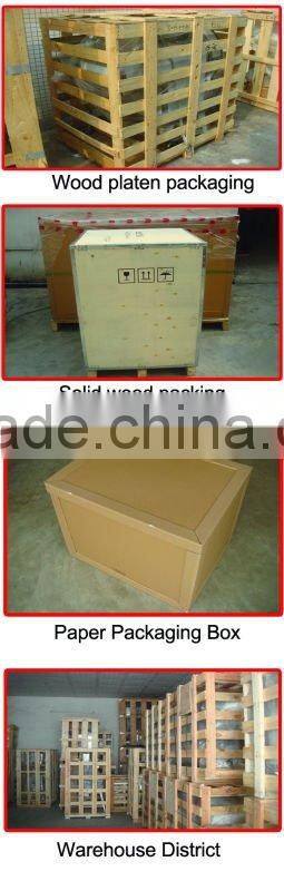 TW-813 Automatic Made in TAIWAN Vegetable mincer (Video)