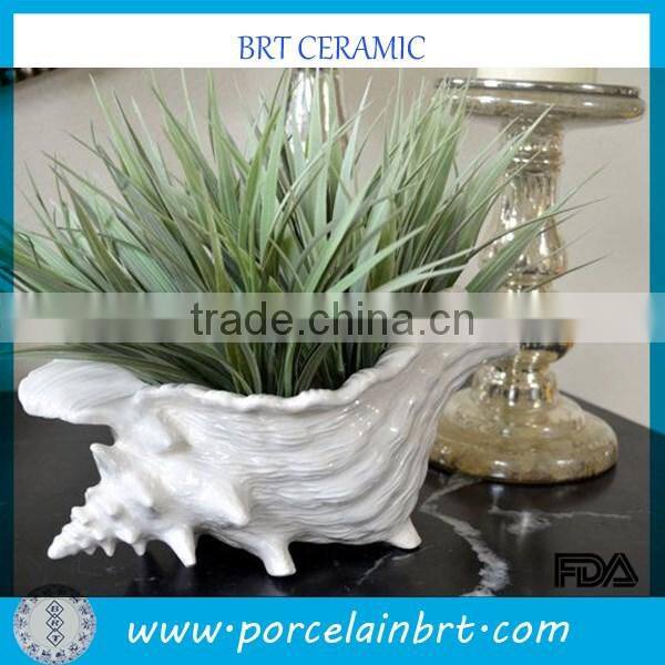 Small Cute Sea Snail Conch Flower Planter for Table