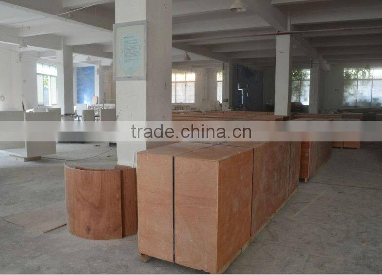 Designed colorful acrylic flower vase