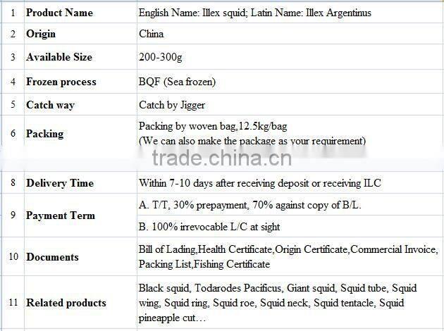 200-300g Frozen Illex Squid