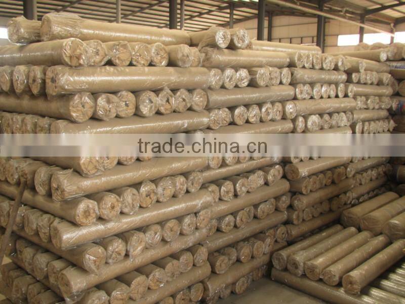 Galvanized Welded Wire Mesh from Guangzhou Supllier