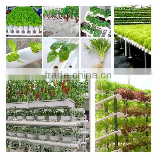 Free Sample Green Inch PP Hydroponic Plant Mesh Pot