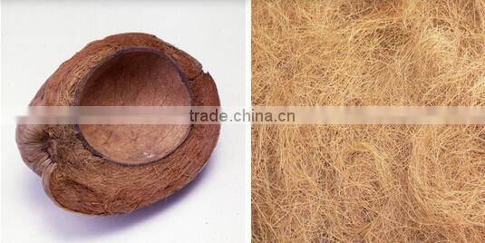Good Elastic Natrual Rubberized coir sheet for mattress and sofa sheets