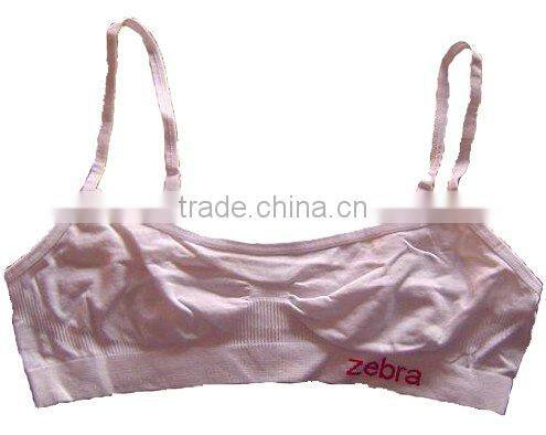 sexy and fashion ladies bra undergarments