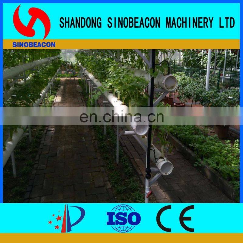 Hydroponic Lettuce Gutter Systems