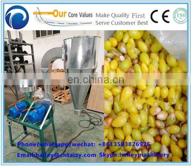 Best Quality Ginkgo nuts shelling machine/Gingko Peeling machine
