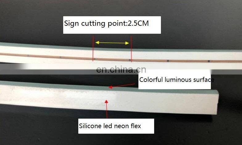 12V 24V LED Neon Flex 120LEDs/m 6x12mm Strip Neon light for car