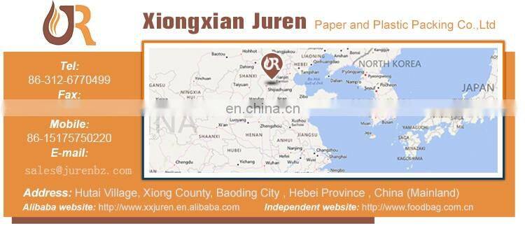 Stand up food bags for nut dried fruit food packaging bag Cashew nut packing