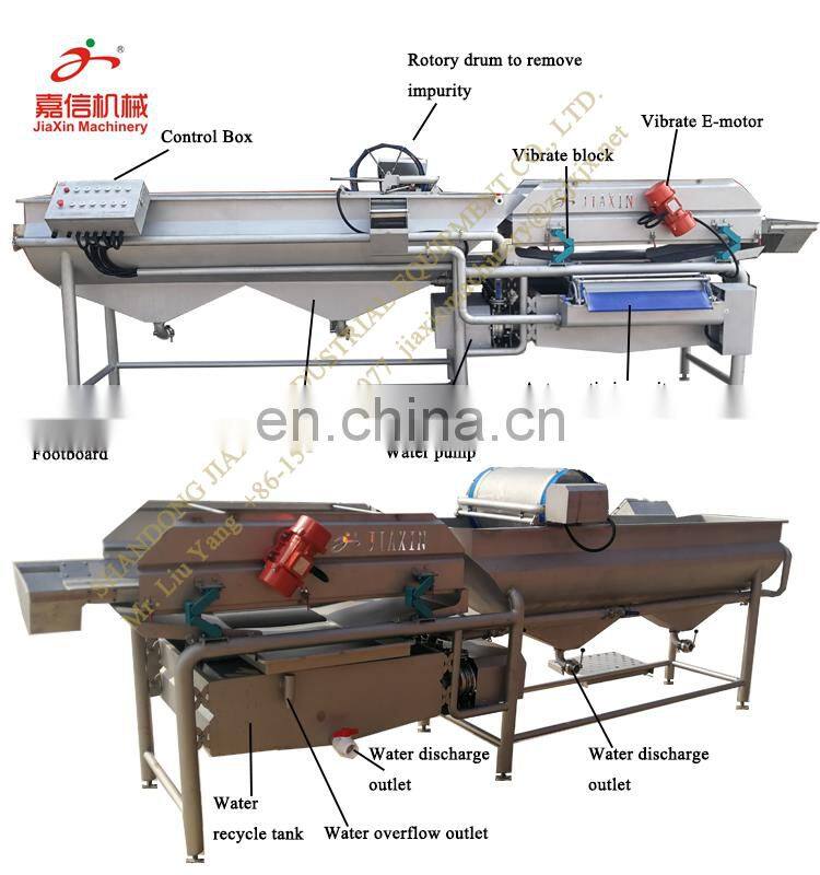 Factory  directly supply leaf vegetable washing machine industrial
