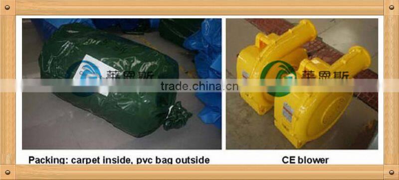 import and export co., ltd/adult water slides/pools & water fun mini water slide