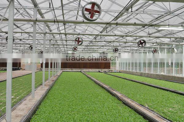 UV Treated Plastic Greenhouses for Sale
