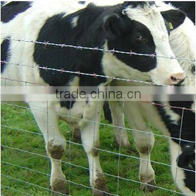 High quality hinge-lock sheep field fence shanghai