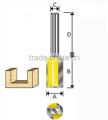 Two Flute Straight Bit With Plunge Cut