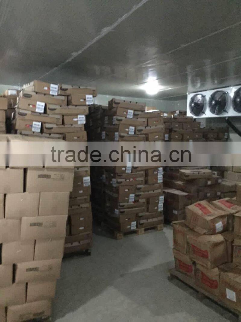 2015 mobile solar powered cold room with lowest price