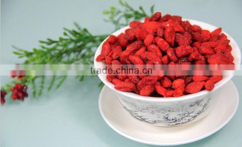 Dried Fruit/China special food Goqi berries /Zhongning Dried Goqi berries