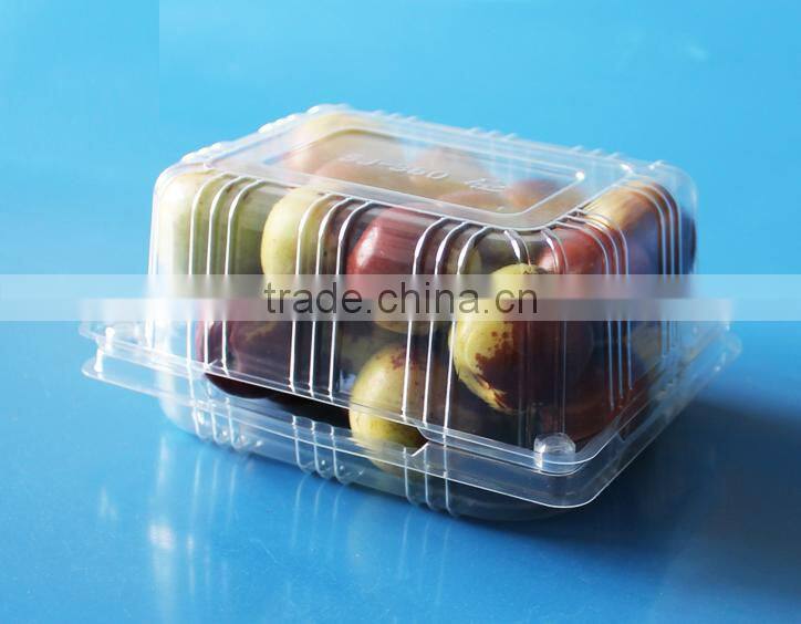 Clear Transparents Clamshell Blister Plastic fruit packaging container 350Gram