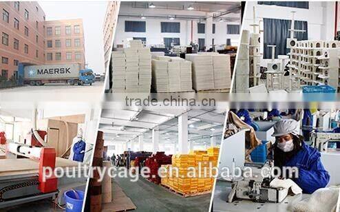 Hot Sale Automatic Large Bird Cage (low price, made in china)