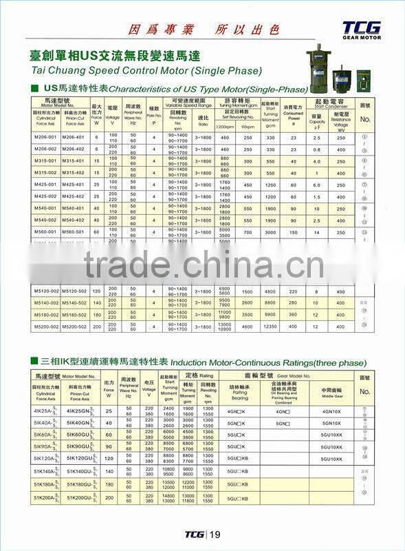 AC Induction motor with Gearhead