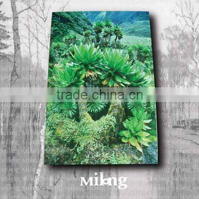 printed canvas on mdf or wooden board