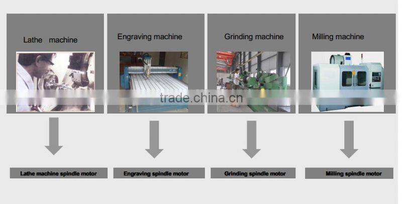 SIPU Walk core lathe spindle motor