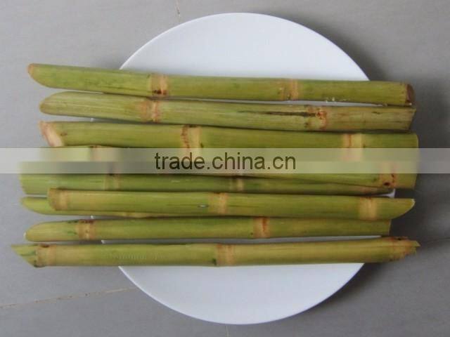 Frozen Sugarcane From VietNam QQ : 2598494113