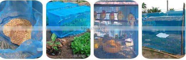 blue nylon net/pe farm net/pe screen fishing net/mosquito blue net/window screen net