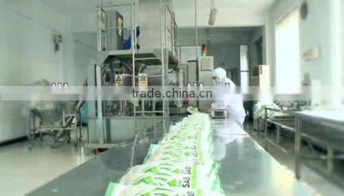 500g KAISEKI home kitchen spicy wasabi powder new in market