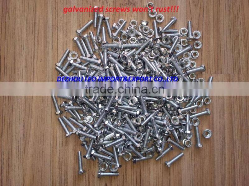 European Union hot selling plastic chicken transport box