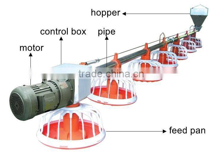 Automatic auger feeding system for chicken house