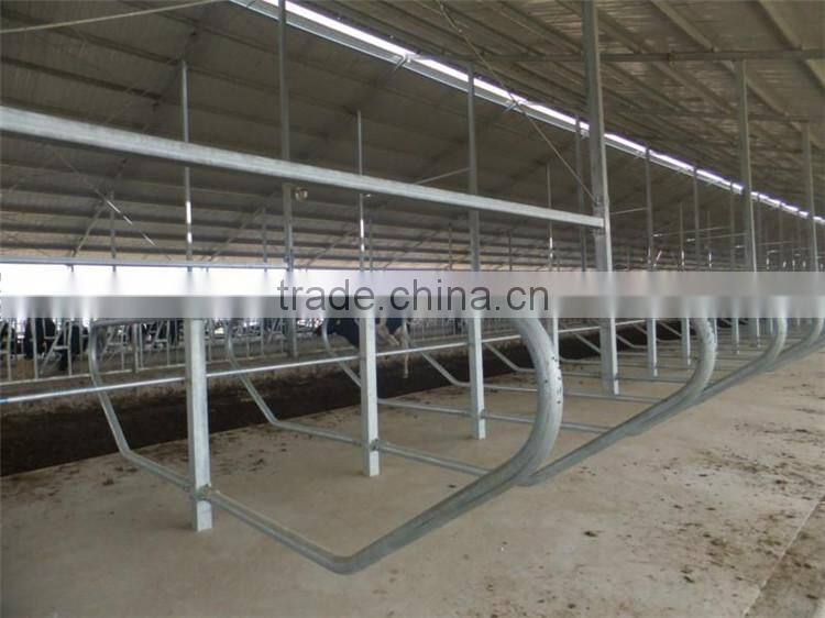 Galvanized Cow equipment cattle free stall