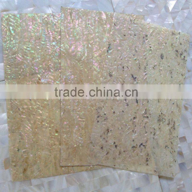 Japanese abalone /paua shell flexible wall paper