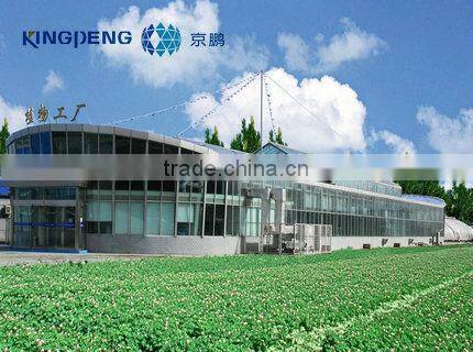Fast Seedling Plant Factory for Vegetable