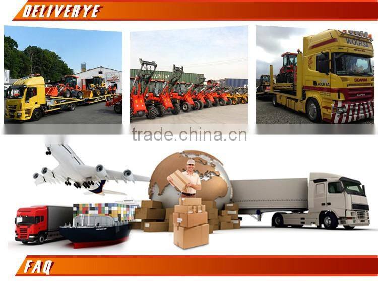Everun Er20 Articulated Small Wheel Loader with Snow Blade