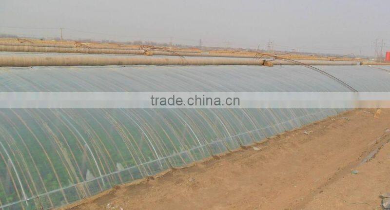Anti UV Anti drip Anti aging PE Film Greenhouses for Vegetable