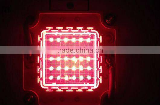 High power led grow light,canabis growth plant light ,300W grow light