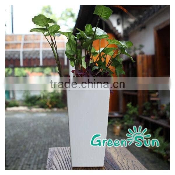 household plant pot made in China