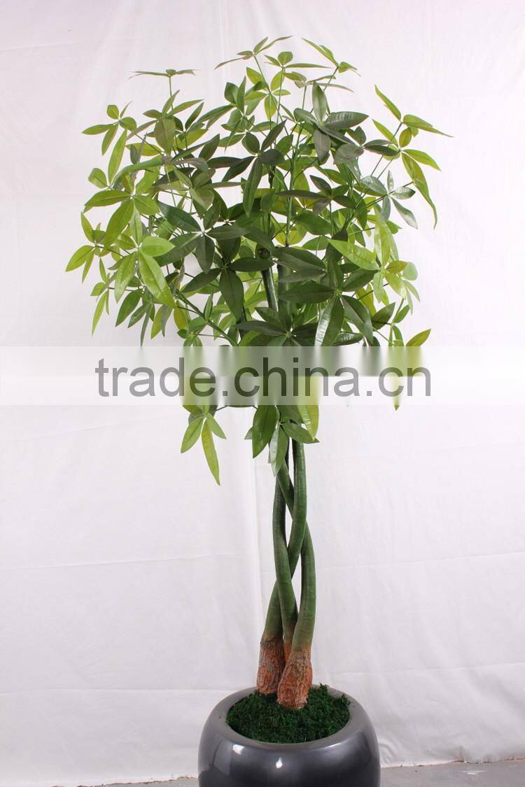 China hot sale evergreen fake money tree ,artificial Pachira