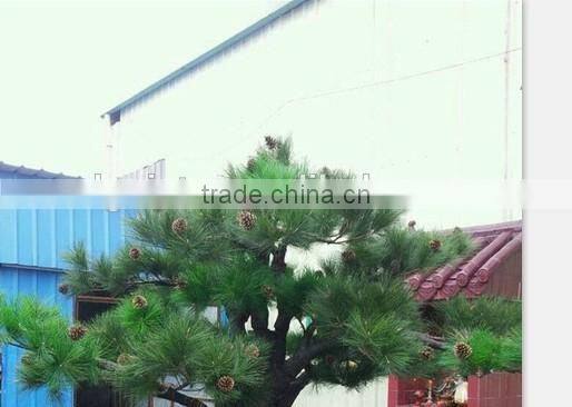 hot sale artificial tall pine trees