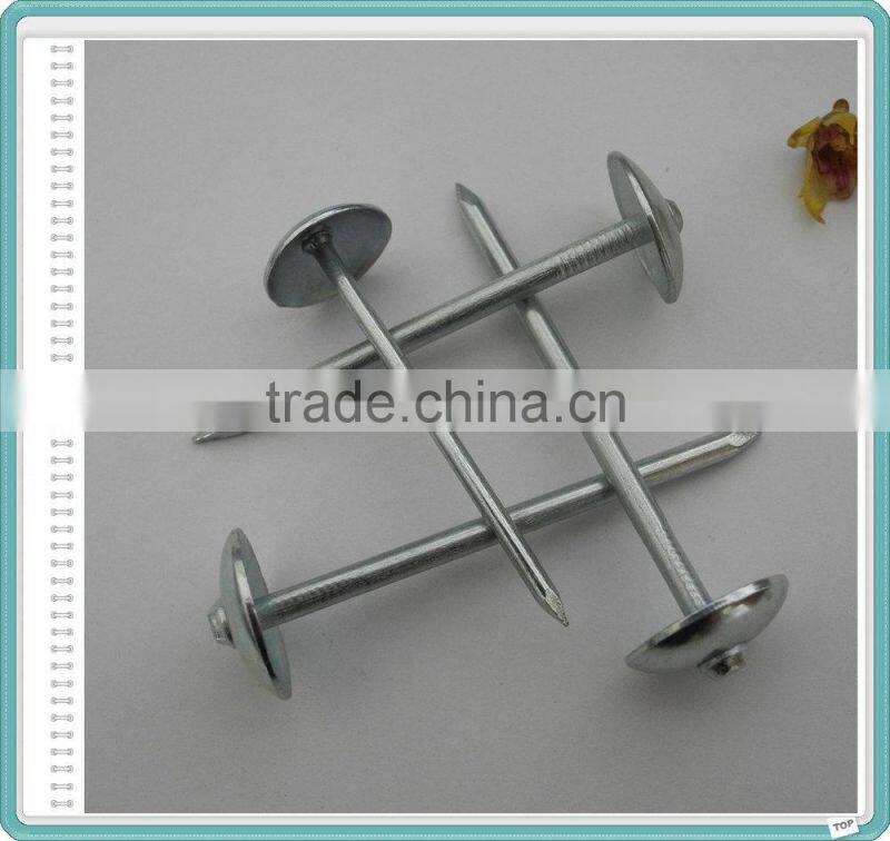 BWG9X2.5" Umbrella Head Roofing Nail Factory
