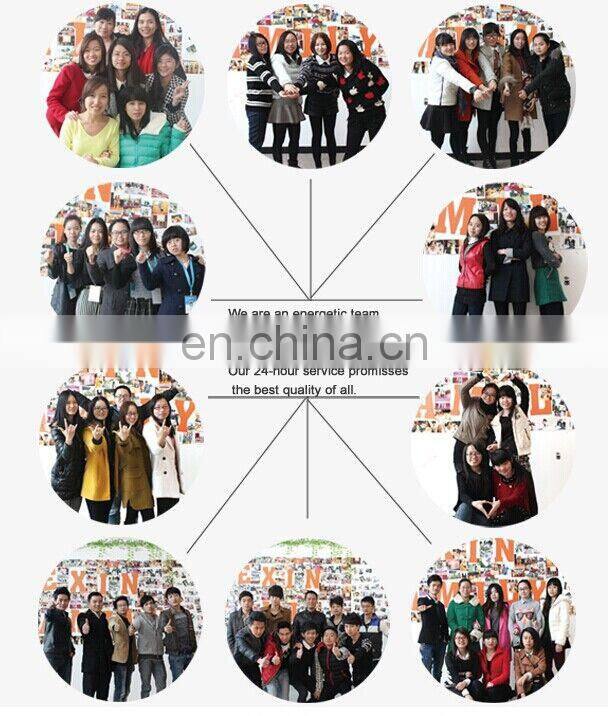 Charming Lady Zipper Leopard Cheap Corsets Costumes Design