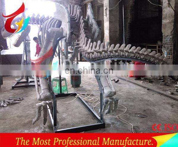 full size high realistic museum quality dinosaur skeleton