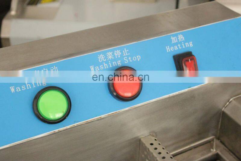 CE Qualified Commercial Frozen Meat Thawing Machine with Heating Function