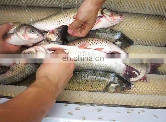 Hot selling Fish Scale Removing Machine/Fish Descaler for price