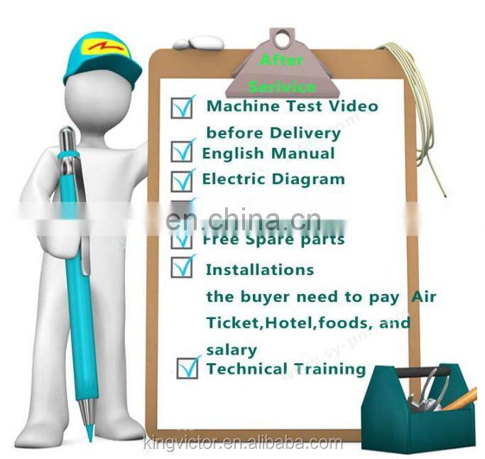 Roasted Seaweed Packaging Machine with Tray Automatic Packing